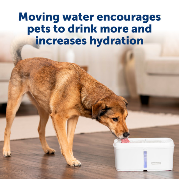 PetSafe Viva Kisállat Önitató 4.1 literes