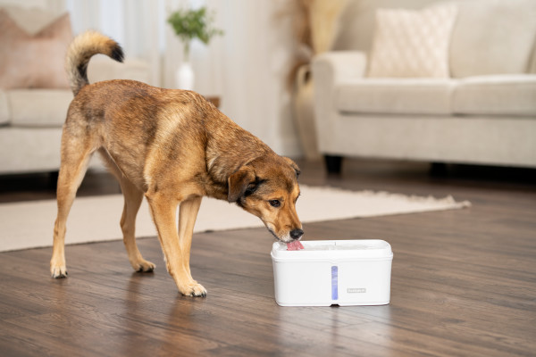 PetSafe Viva Kisállat Önitató 4.1 literes